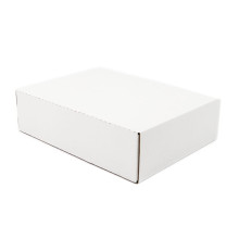 Arhīvu kaste dokumentu uzglabāšanai, 235x80x310mm, balta