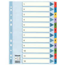 Dalītājs Esselte Mylar, A4, numuri 1-12, krāsa (100162) Dalītājs Esselte Mylar, A4, numuri 1-12, krāsa (100162)